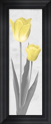 Framed Shinning Bloom 2 Print
