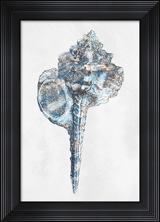 Framed Urban Sea Shell 1 Print