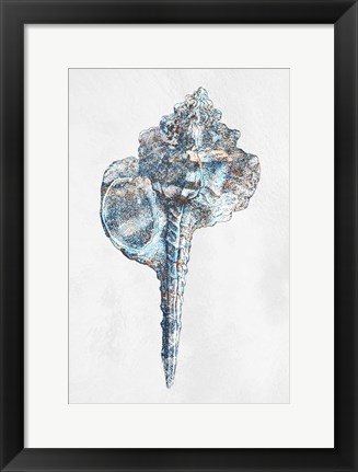 Framed Urban Sea Shell 1 Print