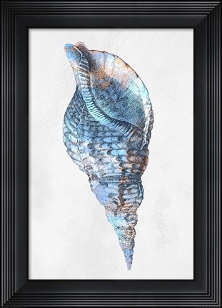 Framed Urban Sea Shell 3 Print