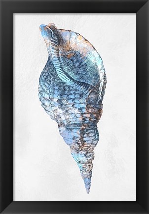 Framed Urban Sea Shell 3 Print