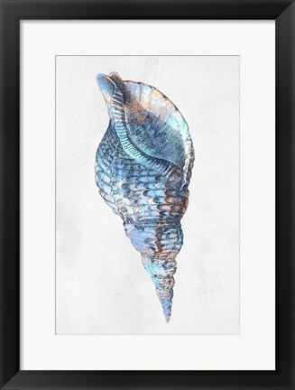 Framed Urban Sea Shell 3 Print