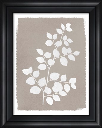 Framed Natural Silhouetted Growth 2 Print