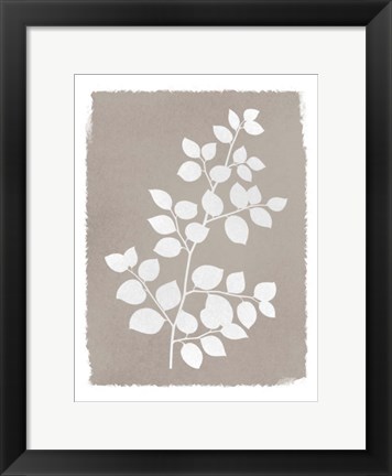 Framed Natural Silhouetted Growth 2 Print