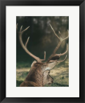 Framed Wandering Buck Print