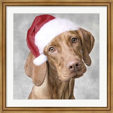 Framed Christmas Pup 1 Print