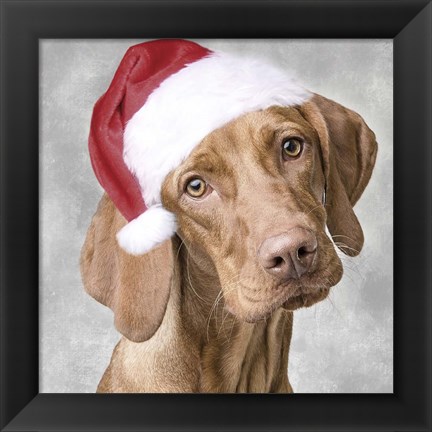 Framed Christmas Pup 1 Print