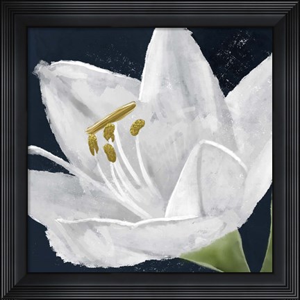Framed Lilly Energy Print