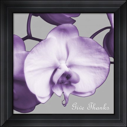 Framed Thankful Orchids Print