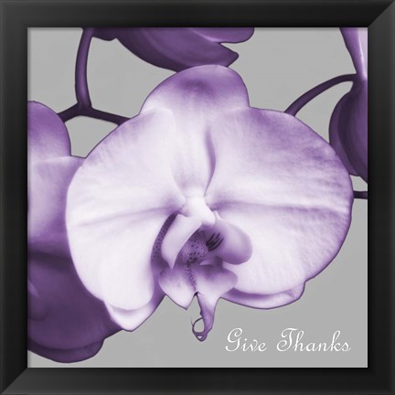 Framed Thankful Orchids Print