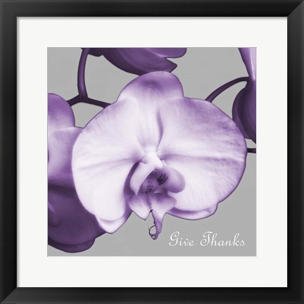 Framed Thankful Orchids Print