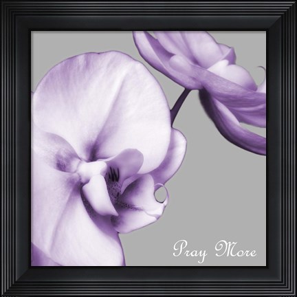 Framed Praying Orchids Print