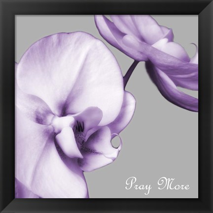 Framed Praying Orchids Print