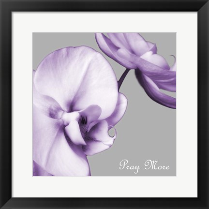 Framed Praying Orchids Print