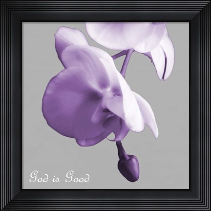 Framed Godly Good Orchids Print