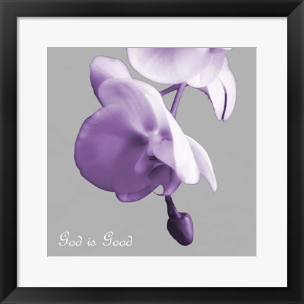 Framed Godly Good Orchids Print