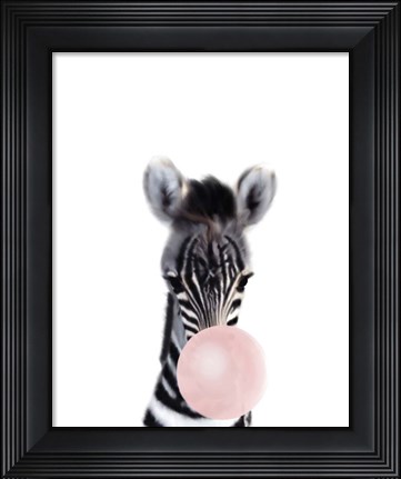 Framed Baby Zebra Bubble Gum Print