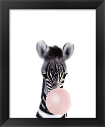 Framed Baby Zebra Bubble Gum Print