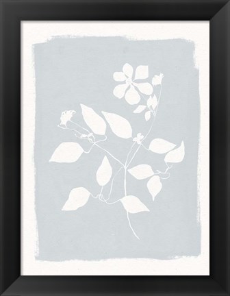 Framed Pressed Daisies Print