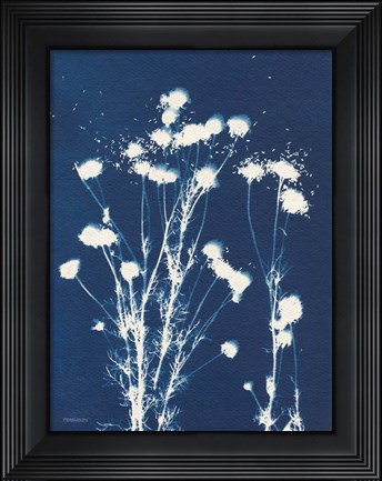 Framed Alpine Flower VI Print