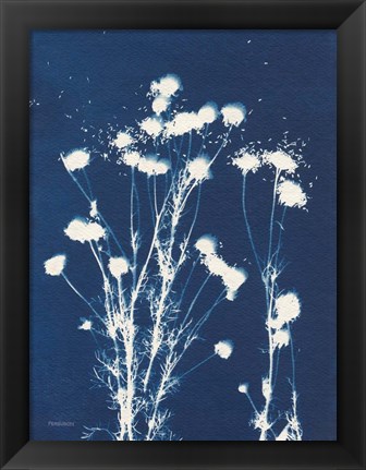 Framed Alpine Flower VI Print