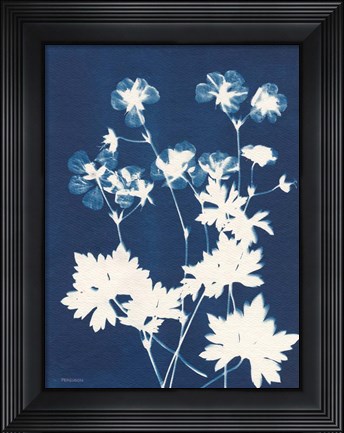 Framed Alpine Flower V Print