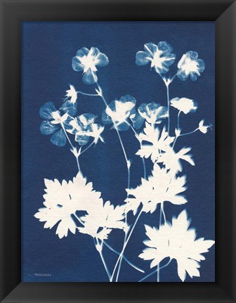 Framed Alpine Flower V Print