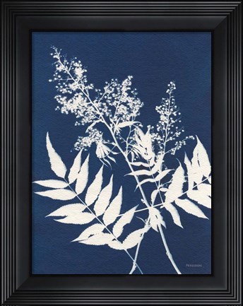 Framed Alpine Flower III Print