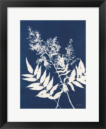 Framed Alpine Flower III Print