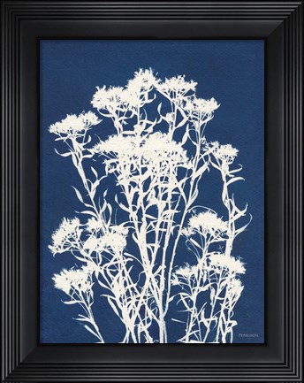 Framed Alpine Flower II Print