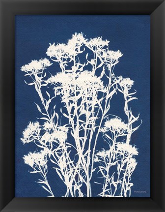 Framed Alpine Flower II Print