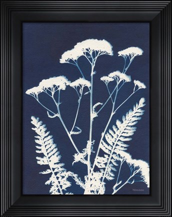 Framed Alpine Flower I Print
