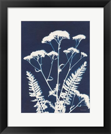 Framed Alpine Flower I Print