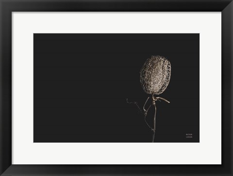 Framed Flower Print