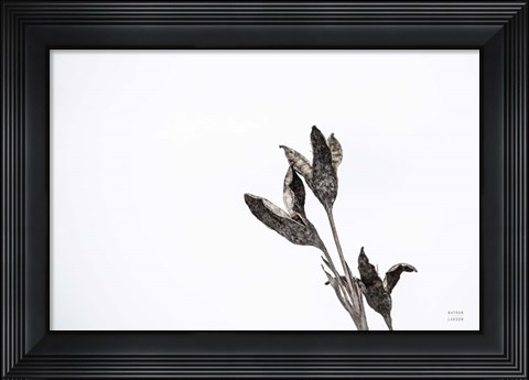 Framed Winter Rebirth Print