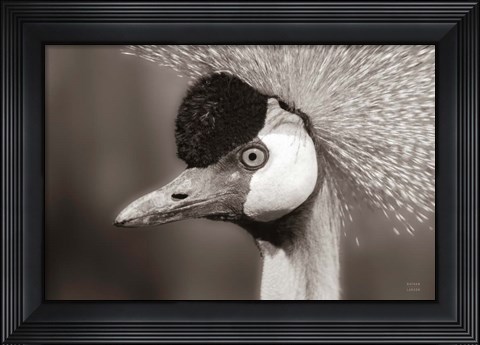 Framed Sepia Print