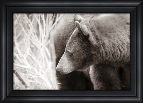 Framed Bear Tones Print