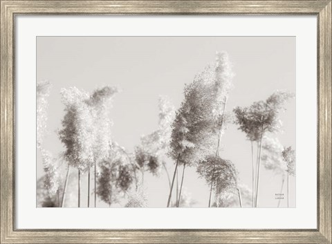 Framed In the Wind II Print