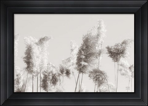 Framed In the Wind II Print