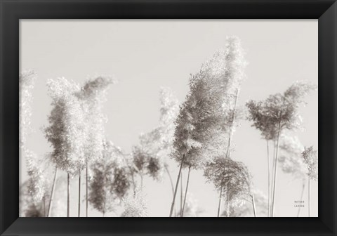 Framed In the Wind II Print