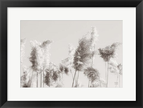 Framed In the Wind II Print