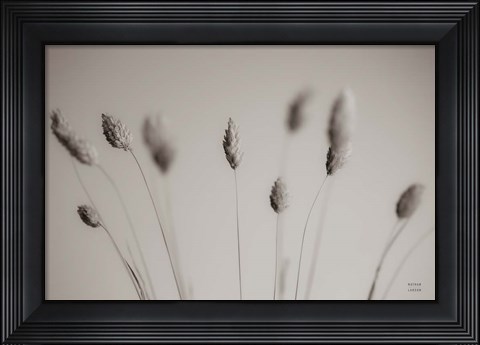 Framed Natural Grasses Print