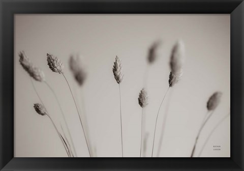 Framed Natural Grasses Print