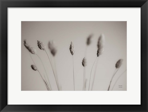 Framed Natural Grasses Print