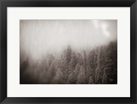 Framed Northern Forests BW Print