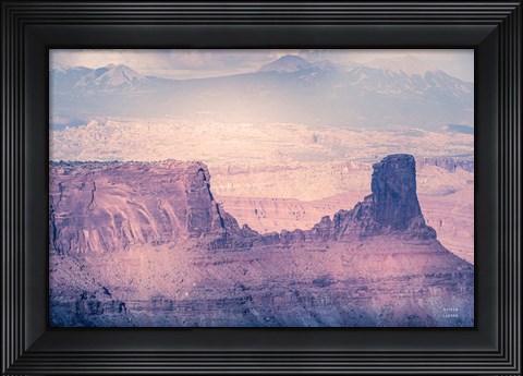 Framed pinks Print