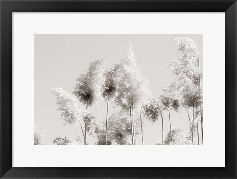 Framed In the Wind III Print