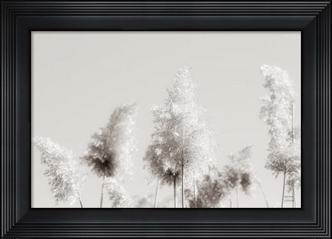 Framed In the Wind I Print
