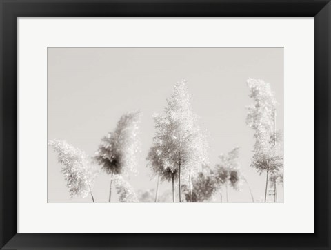 Framed In the Wind I Print