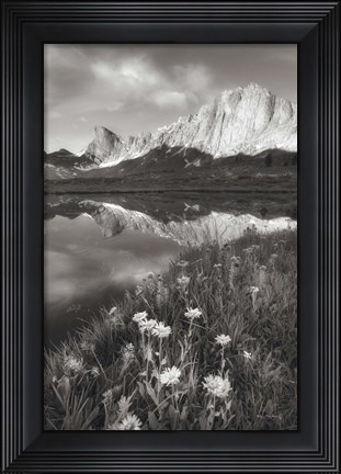 Framed Pronghorn and Dragon Head Peaks BW Print
